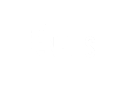 E News Logo White
