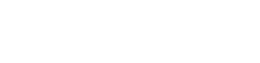 Bodenvy